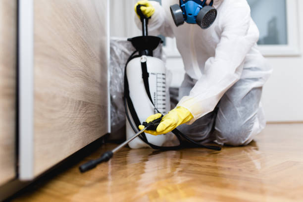 Pest Prevention Services in Timonium, MD