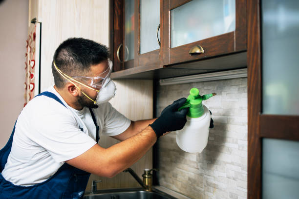 Best Best Pest Control Companies  in Timonium, MD