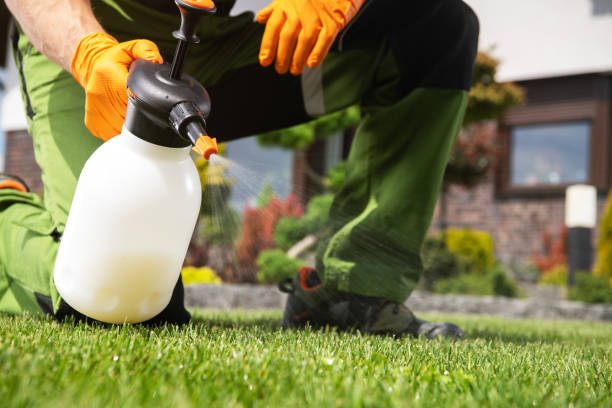 Best Rodent Control Near Me  in Timonium, MD