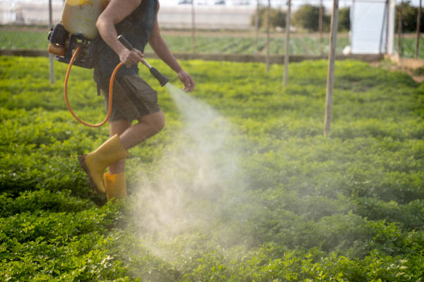 Best Best Pest Control Near Me  in Timonium, MD